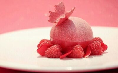 L’EXPÉRIENCE ROSE POMPON par ANNICK GOUTAL