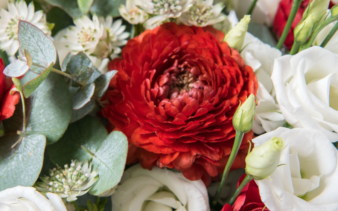 Nouvelle collaboration chez BERGAMOTE … aujourd’hui on vous offre des fleurs