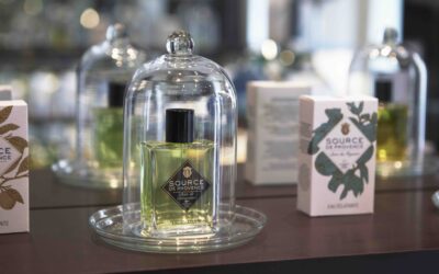 Source de Provence … une petite merveille !